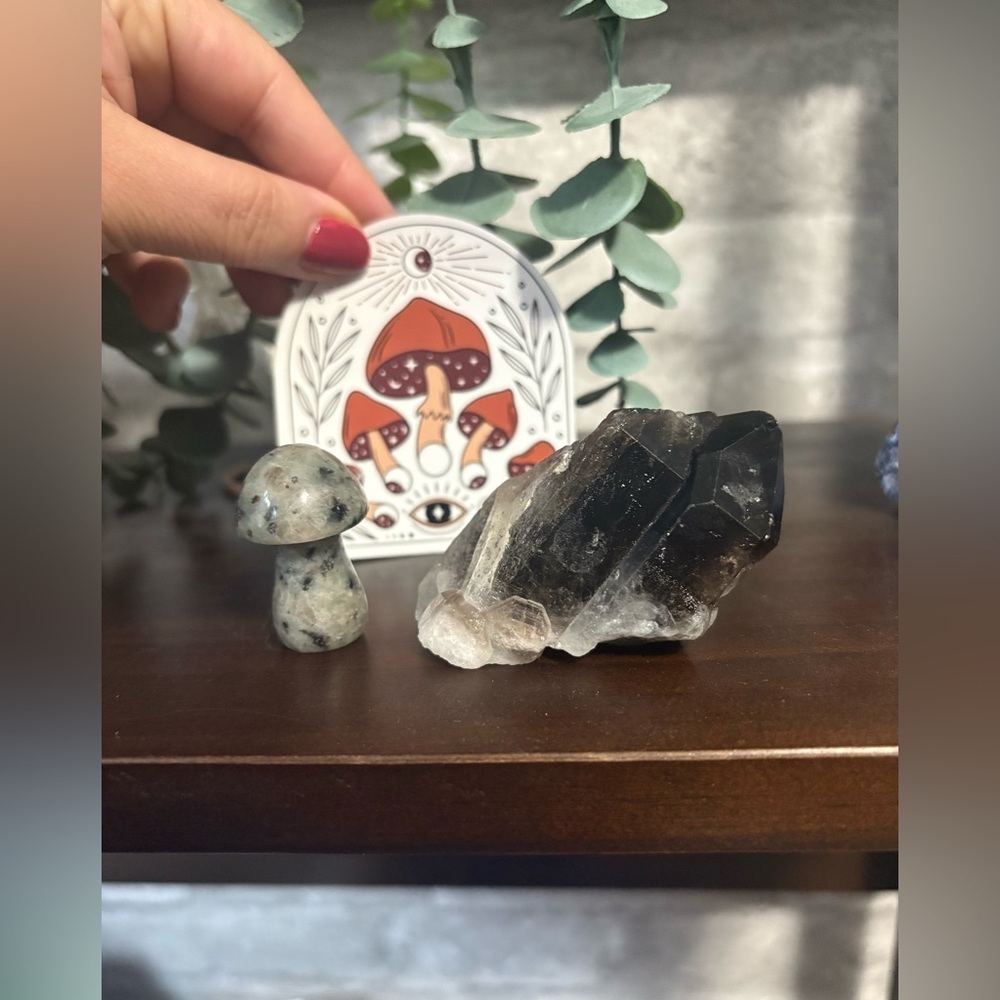 Smoky quartz point with root and lavakite Mushroom set for the crystal lovers